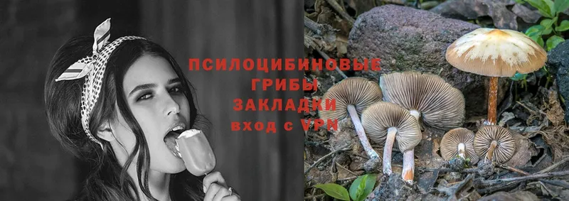 купить наркотики цена  Ачинск  Галлюциногенные грибы MAGIC MUSHROOMS 